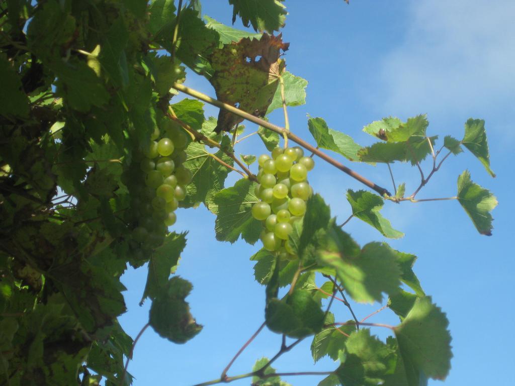 Gasthof Muhr Wirt Z'Bierbaum Gampern Exterior foto